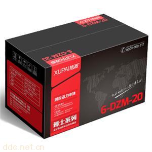  6-DZM-20 旭派博士系列电动车电池